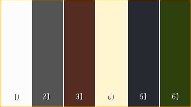 Top Garage Door Colors for a Red Brick House